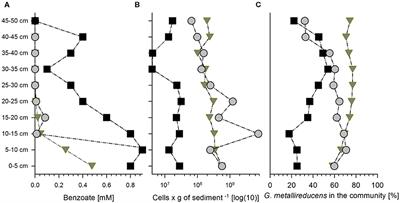 Adaptation of Carbon Source Utilization Patterns of Geobacter metallireducens During Sessile Growth